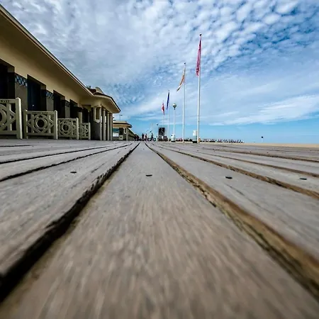 Vue Exceptionnelle Avec Parking Au Port De *